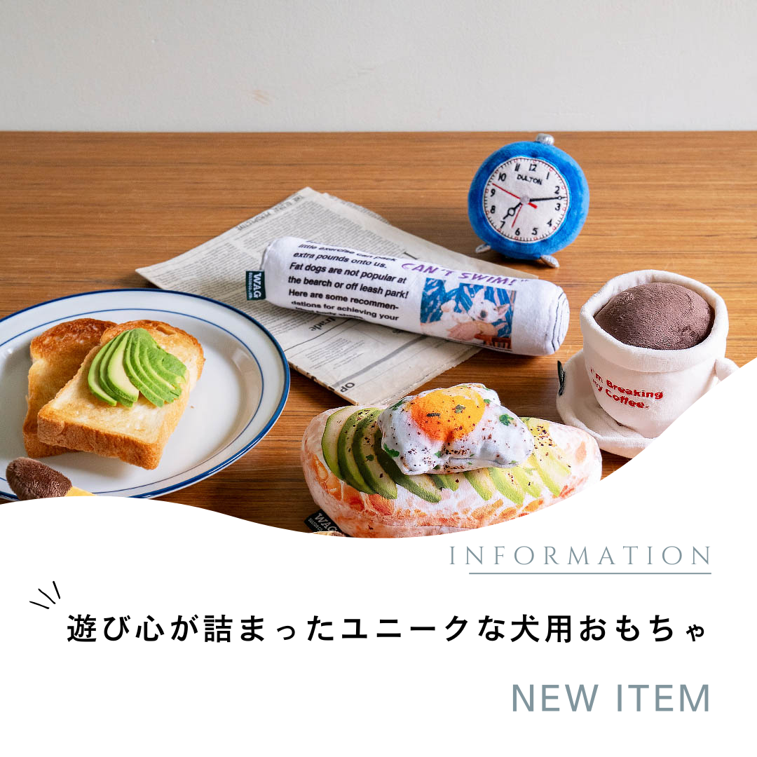 新品 プラッシュトイ ダルトン ボーイ ぬいぐるみ おもちゃ ペット用品 WAG DULTON ONLINE SHOP | PLUSH TOY DULTON BOY(DULTON BOY